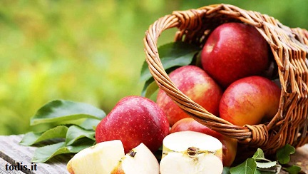 المركبات الغذائية في التفاح